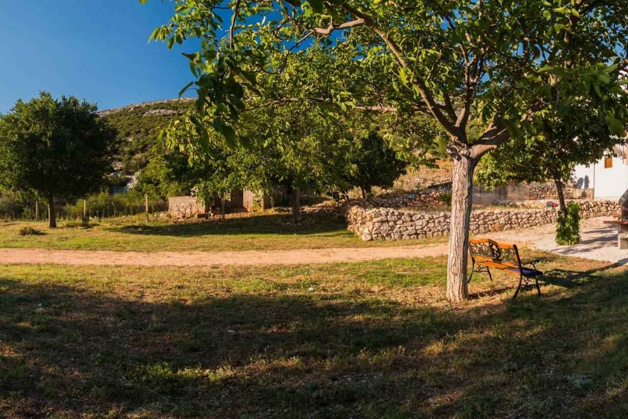 Kuca Za Odmor Lucija Vrana (Zadar) Exterior foto